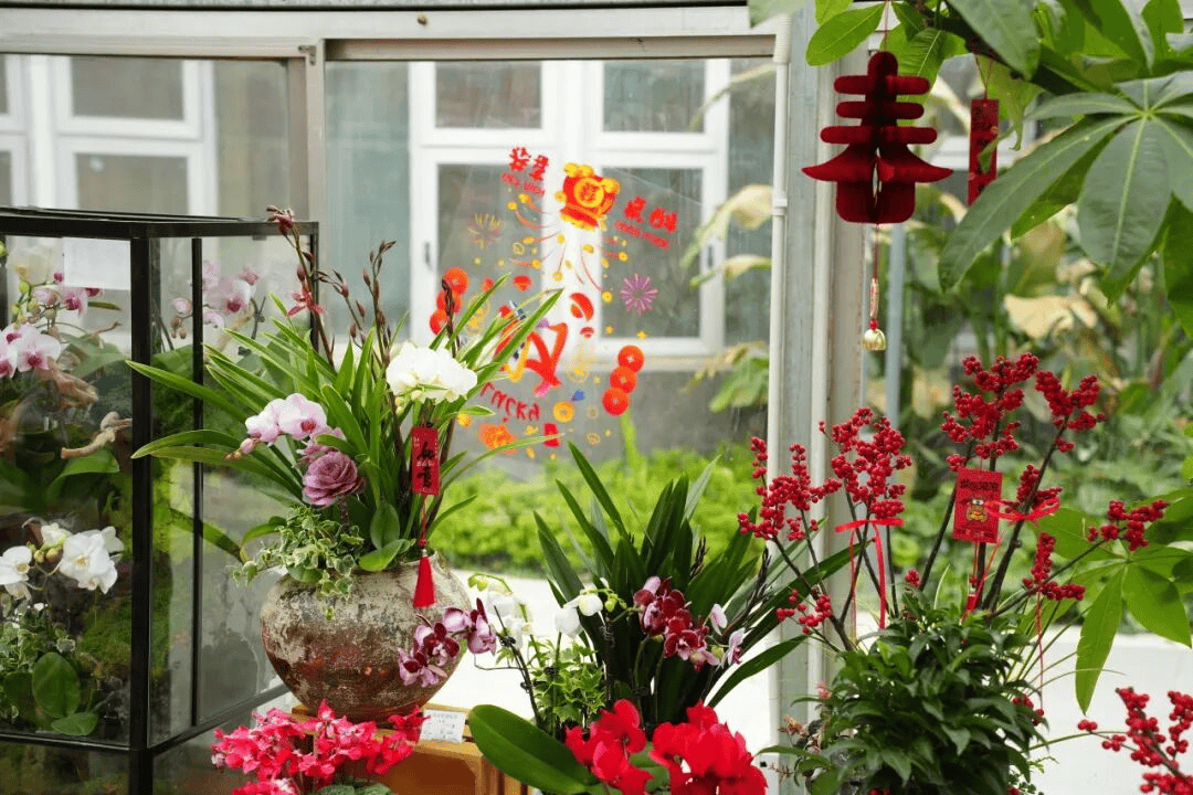 抓福猪、逛雪乡……过个热气腾腾烟火年！开元棋牌长沙春节攻略丨来雨花！遛萌娃、(图7)